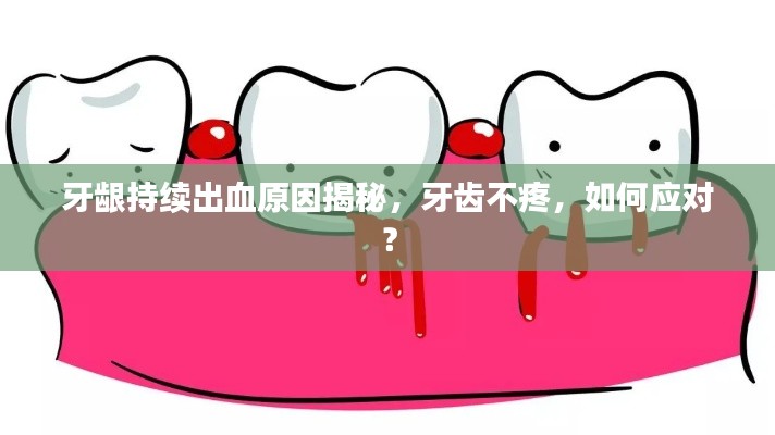 牙齦持續(xù)出血原因揭秘，牙齒不疼，如何應(yīng)對(duì)？
