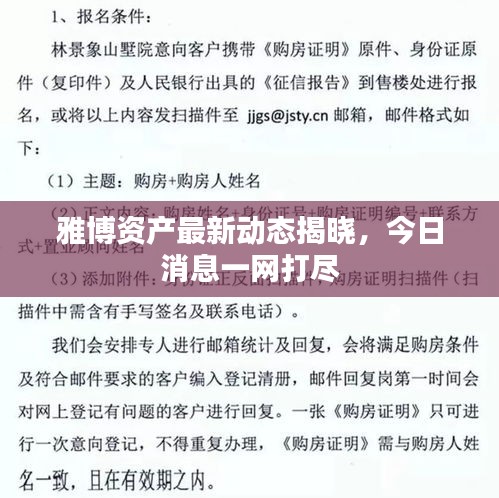 雅博資產最新動態揭曉，今日消息一網打盡