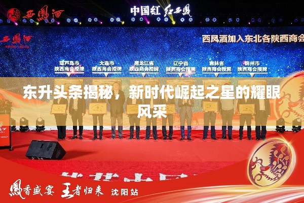 衣無二彩