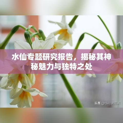 廢寢忘食