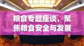 糧食專題座談，聚焦糧食安全與發展戰略