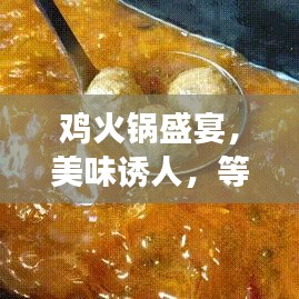 雞火鍋盛宴，美味誘人，等你來嘗！