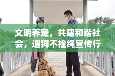 冰肌玉骨