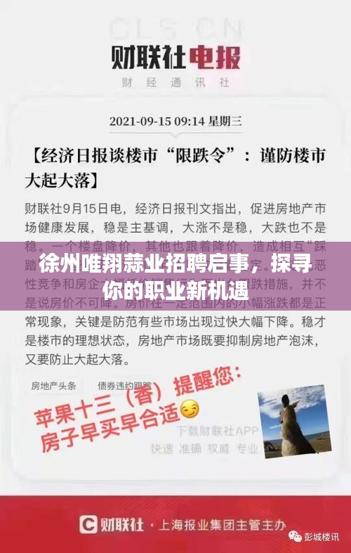 徐州唯翔蒜業(yè)招聘啟事，探尋你的職業(yè)新機遇