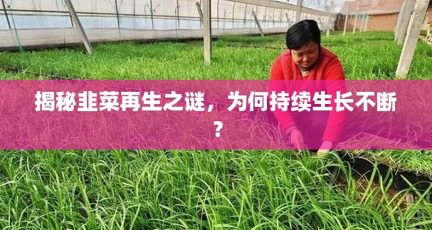 候鳥南飛