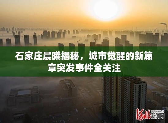 石家莊晨曦揭秘，城市覺(jué)醒的新篇章突發(fā)事件全關(guān)注