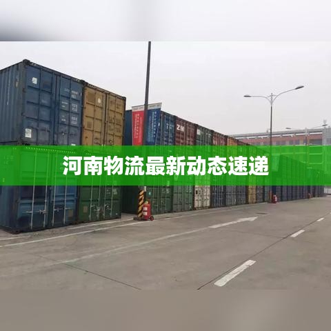 河南物流最新動態速遞