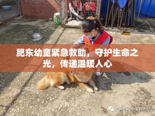 肥東幼童緊急救助，守護生命之光，傳遞溫暖人心