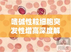 嗜堿性粒細(xì)胞突發(fā)性增高深度解析，原因、影響與應(yīng)對措施