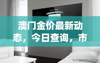 澳門金價最新動態，今日查詢，市場走勢及影響因素深度解析