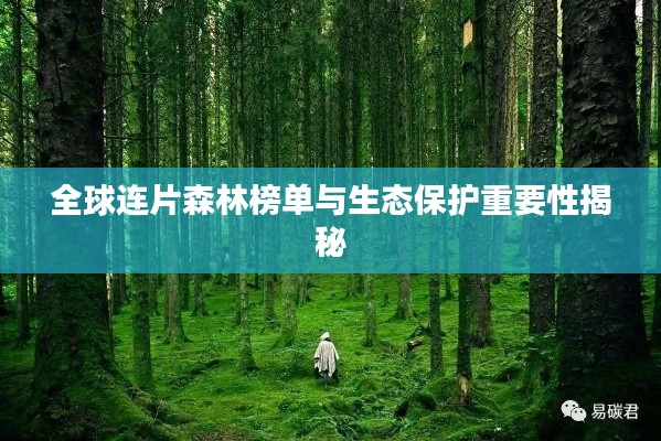 全球連片森林榜單與生態保護重要性揭秘