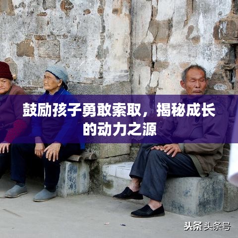 鼓勵孩子勇敢索取，揭秘成長的動力之源