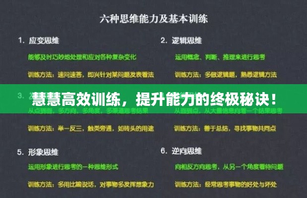 慧慧高效訓練，提升能力的終極秘訣！