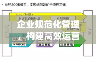 企業規范化管理，構建高效運營體系的關鍵所在