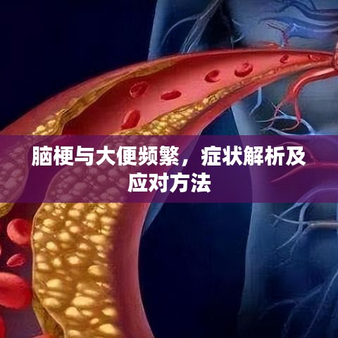 腦梗與大便頻繁，癥狀解析及應對方法