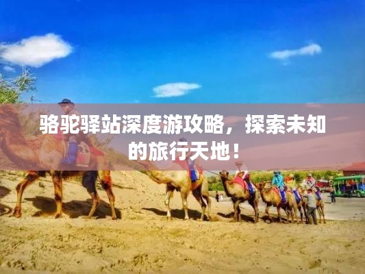 駱駝驛站深度游攻略，探索未知的旅行天地！