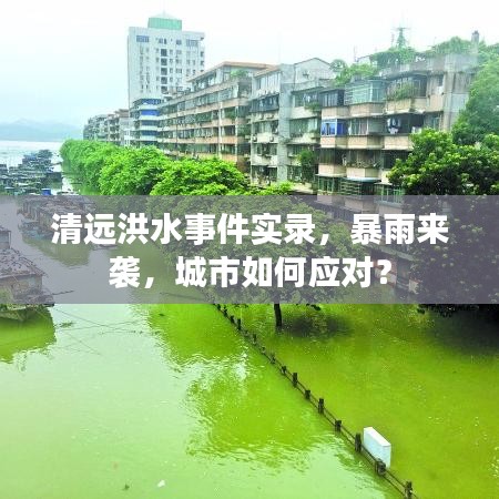 清遠洪水事件實錄，暴雨來襲，城市如何應對？