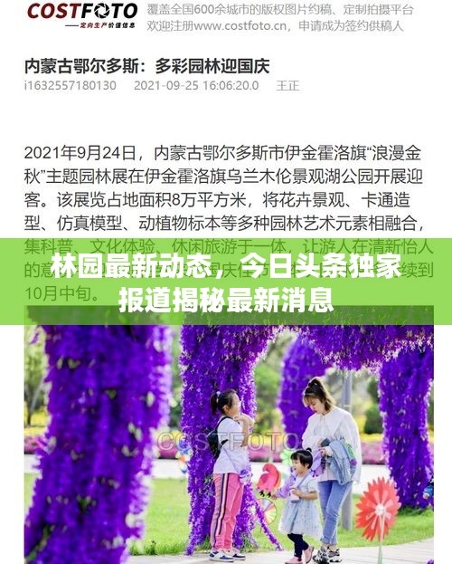 林園最新動態(tài)，今日頭條獨家報道揭秘最新消息