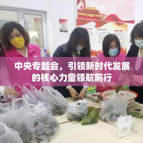 中央專題會，引領新時代發展的核心力量領航前行