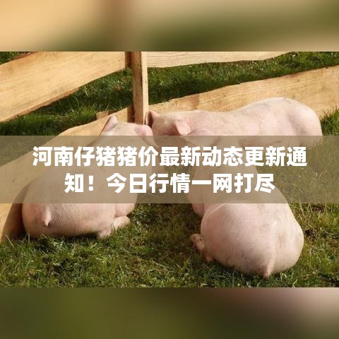 2025年5月14日 第4頁