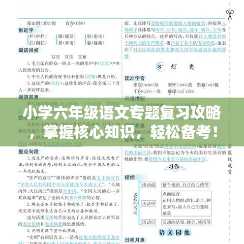小學六年級語文專題復習攻略，掌握核心知識，輕松備考！