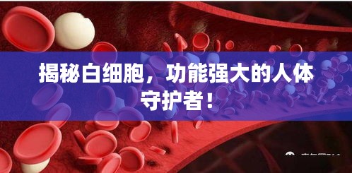 揭秘白細(xì)胞，功能強(qiáng)大的人體守護(hù)者！