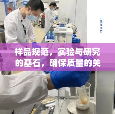 樣品規范，實驗與研究的基石，確保質量的關鍵所在