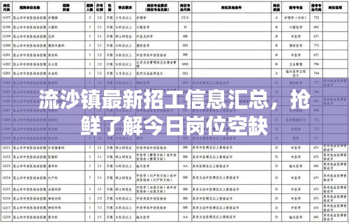 流沙鎮(zhèn)最新招工信息匯總，搶鮮了解今日崗位空缺