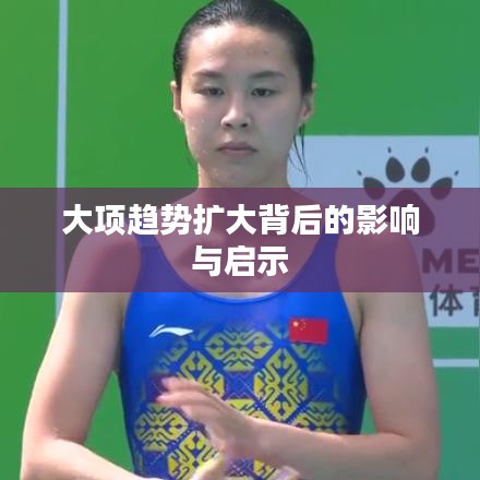 大項(xiàng)趨勢(shì)擴(kuò)大背后的影響與啟示