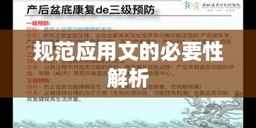 規(guī)范應(yīng)用文的必要性解析