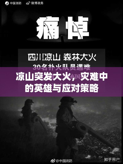 涼山突發(fā)大火，災(zāi)難中的英雄與應(yīng)對策略