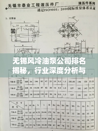 無(wú)錫風(fēng)冷油泵公司排名揭秘，行業(yè)深度分析與趨勢(shì)解讀